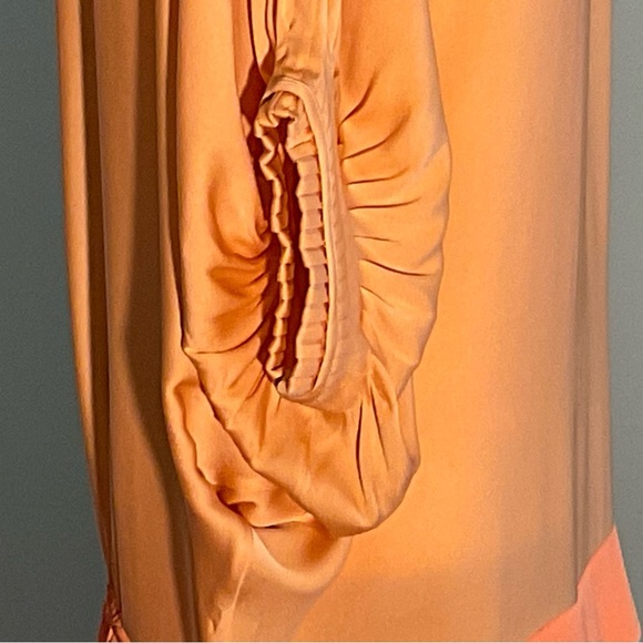 Diane Von Furstenberg Peach/Apricot Silk Drop Waist Batwing Puffed Sleeves Dress - Picture 15 of 16